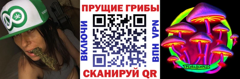 Псилоцибиновые грибы MAGIC MUSHROOMS  блэк спрут онион  Верхний Уфалей 